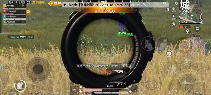 和平挂+锁头+透视+锁血 - 免费实用型战术辅助合集